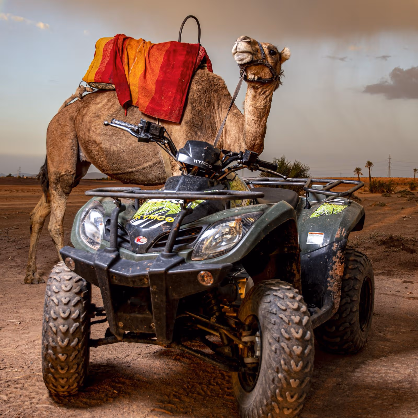 Traditional welcome before Quad and Camel Riding in Marrakech