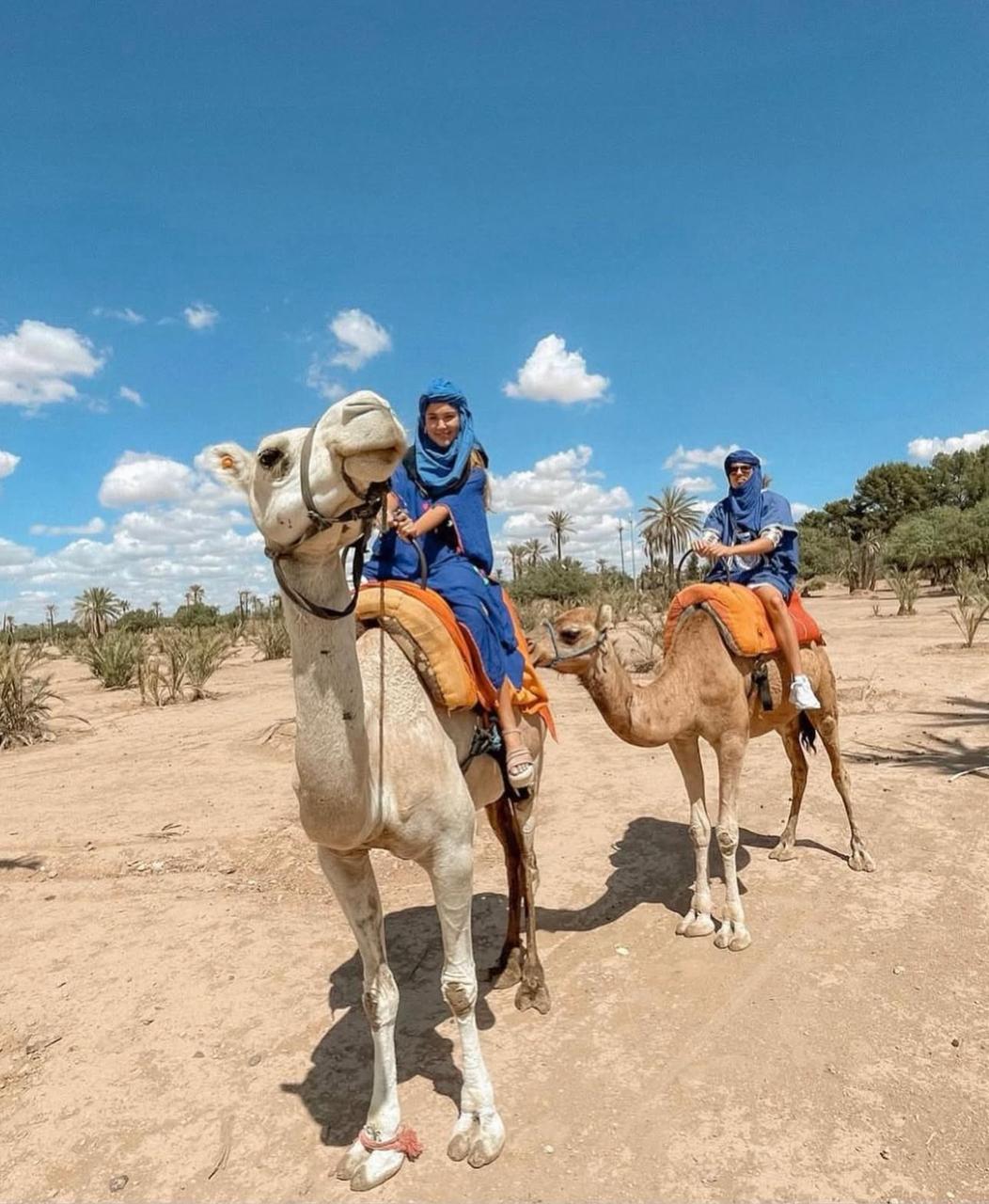 Camel riding in Morocco