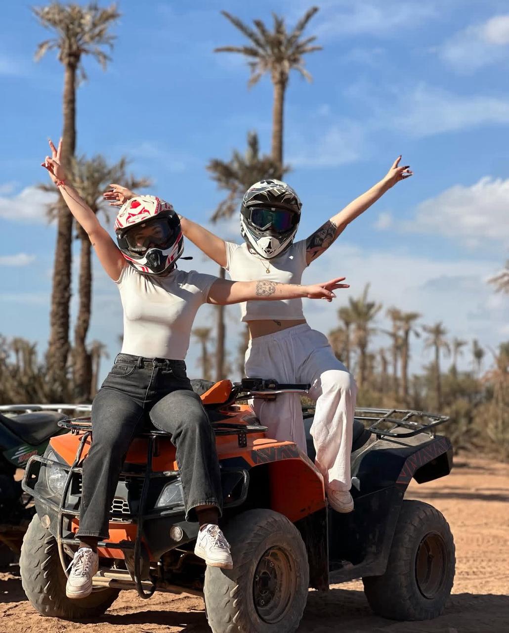 Palm grove in Marrakech